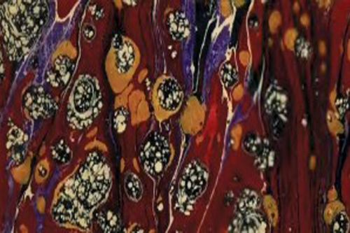 Inspiration de tissu imprimé pour le jaspage de tranche de livre