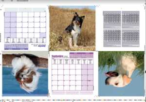 Imposition sur une feuille 6 pages