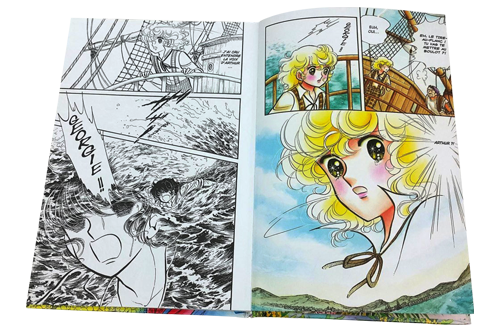 Intérieur en couleurs et en noir et blanc d'une livre de Manga