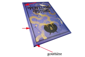 Livre violet à couverture rigide avec marquage à chaud et gouttière